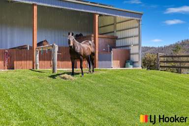 Farm Sold - NSW - Eurobodalla - 2545 - How's The Serenity?  (Image 2)