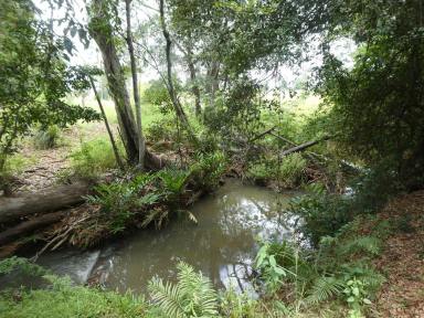Farm Sold - QLD - South Isis - 4660 - YOUR OWN CREEK  (Image 2)