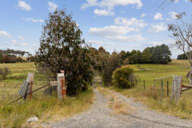 Farm Sold - NSW - Goulburn - 2580 - Perfect Position!  (Image 2)