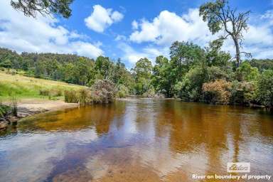 Farm Sold - TAS - Camena - 7316 - UNIQUE GRAZING FARM, BLYTHE RIVER IS ON THE WESTERN BOUNDARY  (Image 2)