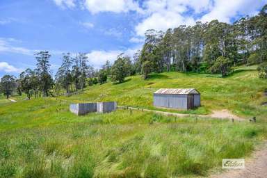 Farm Sold - TAS - Camena - 7316 - UNIQUE GRAZING FARM, BLYTHE RIVER IS ON THE WESTERN BOUNDARY  (Image 2)