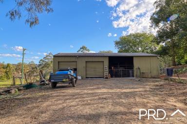 Farm Sold - NSW - Kyogle - 2474 - 3 Acres + Shed Close to Town  (Image 2)