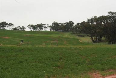 Farm Sold - WA - Katrine - 6566 - Excellent Opportunity  (Image 2)