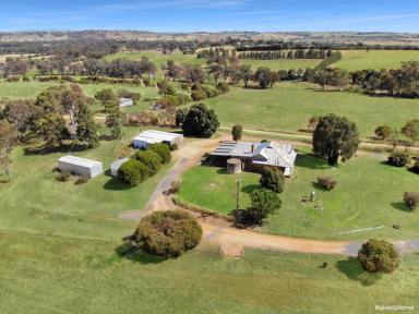 Farm Sold - NSW - Young - 2594 - ACRES OF OPPORTUNITY and 2 HOMES  (Image 2)