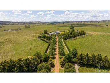 Farm Sold - NSW - Armidale - 2350 - Sun Valley 845.5 acres of pure potential  (Image 2)