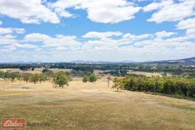 Farm Sold - WA - Mount Barker - 6324 - Panoramic Rural Views - to be seen to be appreciated!  (Image 2)