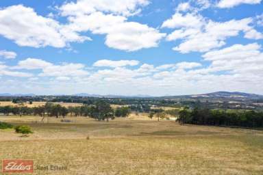 Farm Sold - WA - Mount Barker - 6324 - Panoramic Rural Views - to be seen to be appreciated!  (Image 2)