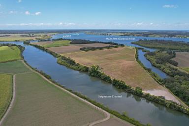 Farm For Sale - NSW - Harwood - 2465 - Waterfront With Unobstructed Ocean Access  (Image 2)