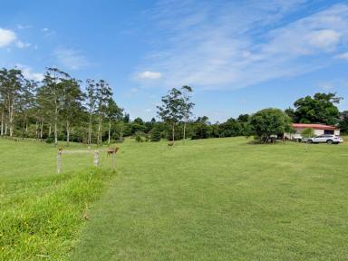 Farm Sold - QLD - Jaggan - 4885 - Create Your Vision  (Image 2)