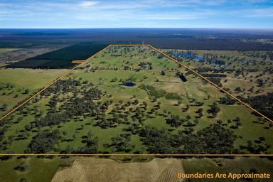 Farm For Sale - VIC - Poolaijelo - 3312 - IDEAL BREEDING AND FATTENING PROPERTY  (Image 2)
