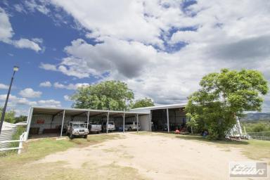 Farm Sold - QLD - Blenheim - 4341 - Horse Haven in the Hills- 46 acres  (Image 2)