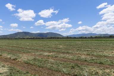 Farm For Sale - NSW - Scone - 2337 - 105 acres of highly productive agricultural land, located minutes from Scone, the Horse Capital of Australia  (Image 2)