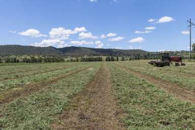 Farm For Sale - NSW - Scone - 2337 - 105 acres of highly productive agricultural land, located minutes from Scone, the Horse Capital of Australia  (Image 2)