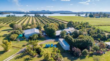 Farm Sold - NSW - Palmers Island - 2463 - Prime Riverfront Property With Guaranteed Established Income  (Image 2)