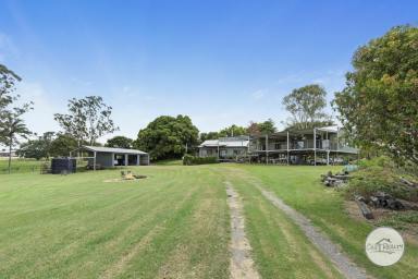 Farm For Sale - QLD - Island Plantation - 4650 - Acreage, Large Home, Shed  (Image 2)