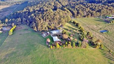 Farm Sold - TAS - Pipers River - 7252 - Privacy and Tranquility. Big house, Big shed, Beautiful gardens, on 27 lush acres with air strip  (Image 2)