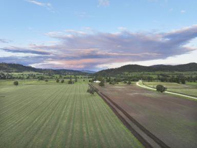 Farm For Sale - NSW - Scone - 2337 - 129 acres of prime agricultural land minutes from the township of Scone  (Image 2)