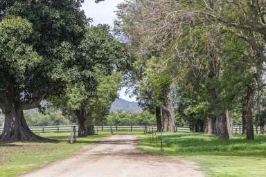 Farm For Sale - NSW - Scone - 2337 - 129 acres of prime agricultural land minutes from the township of Scone  (Image 2)