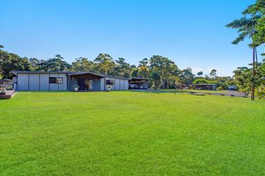 Farm Sold - NSW - Crescent Head - 2440 - Five Acre Paradise Minutes to World Class Surf  (Image 2)