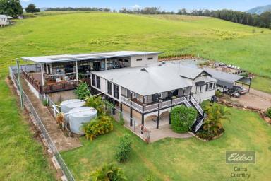 Farm Sold - QLD - Bauple - 4650 - STUNNINGLY PRESENTED HOME PERFECT FOR THE LARGE FAMILY!  (Image 2)