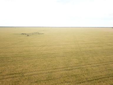 BURRENDOWN SOUTH, Mungindi NSW 2406