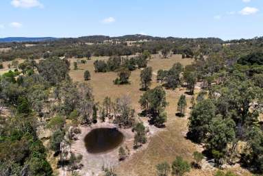 Farm Sold - NSW - Mudgee - 2850 - BLANK CANVAS FOR A RURAL LIFESTYLE  (Image 2)