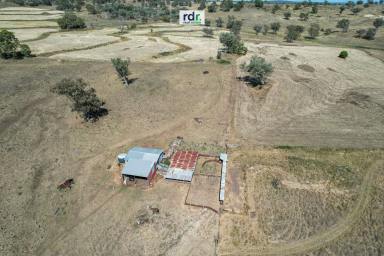 Farm Sold - NSW - Inverell - 2360 - PART "KINGSWOOD"  (Image 2)