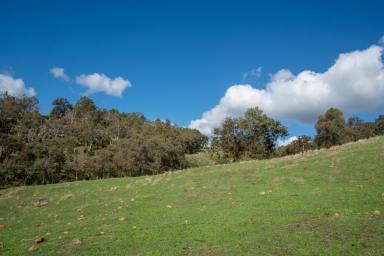 Farm Sold - WA - North Dandalup - 6207 - River Frontage, Views  & National Park  (Image 2)