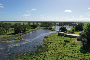 Farm Sold - QLD - North Isis - 4660 - 192 ACRE OF RED SOIL CULTIVATION & WATER  (Image 2)