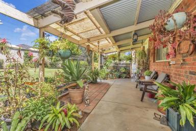 Farm For Sale - VIC - Echuca - 3564 - Country Comfort  (Image 2)