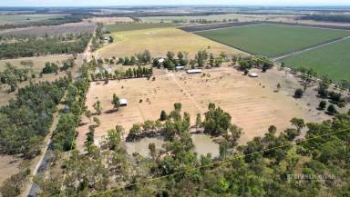 Farm For Sale - QLD - Dalby - 4405 - AWESOME RURAL LIFESTYLE PROPERTY ON 75 ACRES  (Image 2)