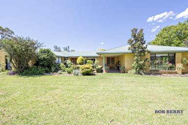 Farm Sold - NSW - Dubbo - 2830 - Fabulous Rural Lifestyle  (Image 2)
