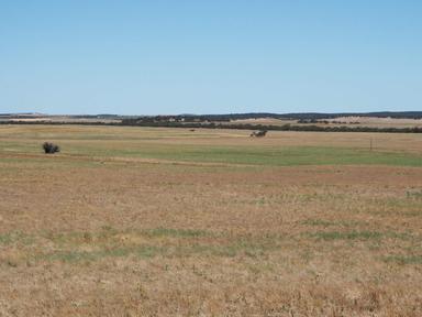 Sandalwood Road, Sandalwood SA 5309
