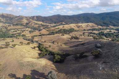 Farm Sold - VIC - Bonnie Doon - 3720 - ROLLING ACRES  (Image 2)