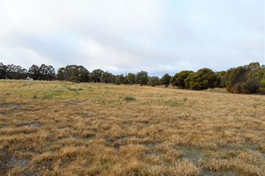 Farm Sold - WA - Broomehill Village - 6318 - Life style block in sought after location.  (Image 2)