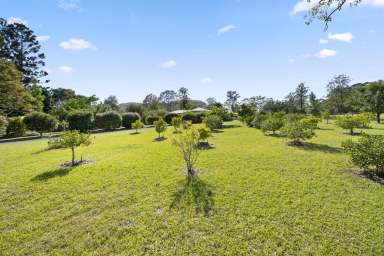 Farm Sold - NSW - Glenreagh - 2450 - IMPRESSIVE HOME - AMAZING LOCATION  (Image 2)