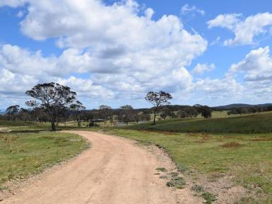 Farm Sold - NSW - Gundaroo - 2620 - Rural Grazing with Development Opportunity  (Image 2)