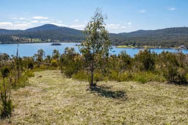 Farm For Sale - TAS - Murdunna - 7178 - Last lot available at Bright Waters Estate!  (Image 2)