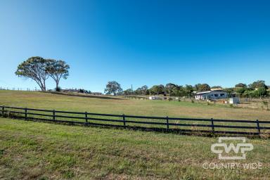 Farm Sold - NSW - Glen Innes - 2370 - Build Your Dream Home at the top of the town  (Image 2)