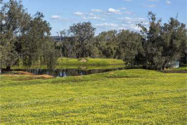 Farm Sold - WA - Bindoon - 6502 - Second chance, its to be sold , call now to inspect!  (Image 2)