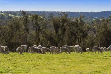 Farm Sold - WA - Bindoon - 6502 - Second chance, its to be sold , call now to inspect!  (Image 2)