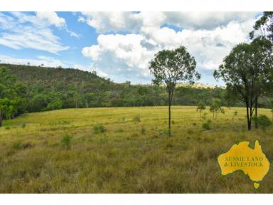 Farm Sold - QLD - Wengenville - 4615 - TEN MILE  (Image 2)