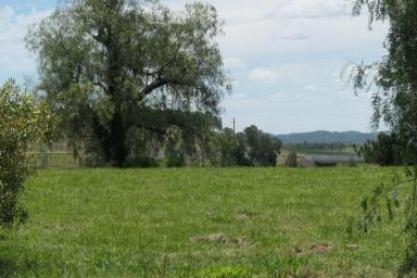 Farm Sold - NSW - Tabulam - 2469 - END OF THE RAINBOW  (Image 2)