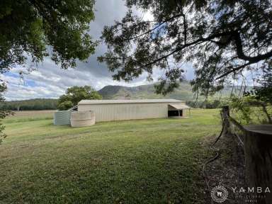 Farm Sold - QLD - Moy Pocket - 4574 - Noosa Hinterland & Mary River Magic!  (Image 2)