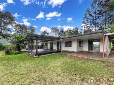 Farm Sold - QLD - Moy Pocket - 4574 - Noosa Hinterland & Mary River Magic!  (Image 2)