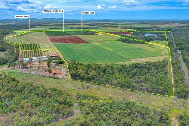 Farm For Sale - QLD - Bullyard - 4671 - VERSATILE FARMLAND WITH POTENTIAL TO GROW SUGAR CANE AND MORE  (Image 2)