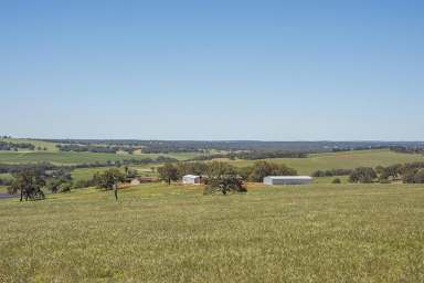 Farm Sold - WA - Lennard Brook - 6503 - Lennard Brook's haven for the astute investor  (Image 2)