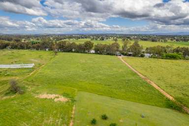 Farm For Sale - NSW - Cowra - 2794 - BEAUTIFUL COUNTRY HOME & 10ACRES OF PRIME RIVERFRONTAGE!  (Image 2)