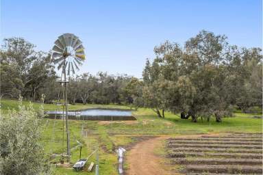 Farm Sold - WA - Bindoon - 6502 - "Self Sufficient Oasis"  (Image 2)