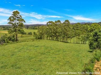 Farm Sold - NSW - Tewinga - 2449 - Rare opportunity - vacant land with an income!  (Image 2)